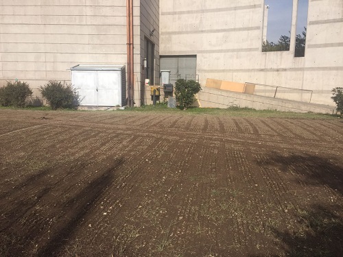 Area recién sembrada