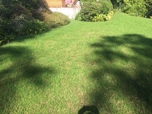 Verticorte y Sobresiembra